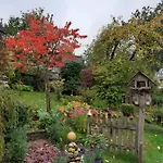 Hallerblick *