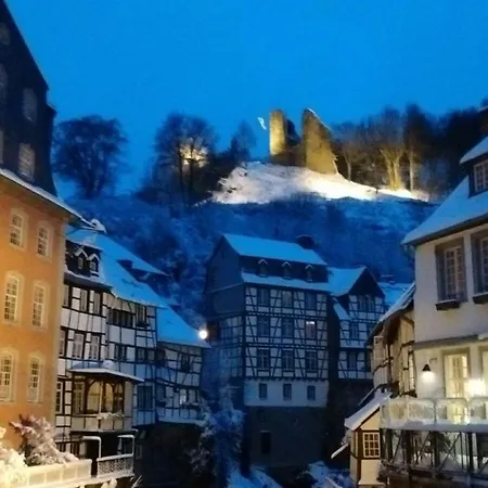 Hallerblick *