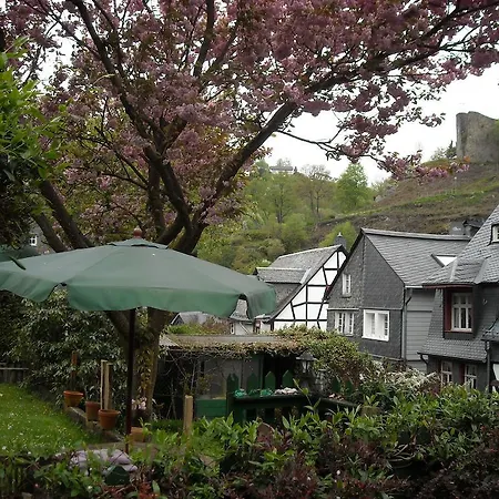 Appartement Hallerblick