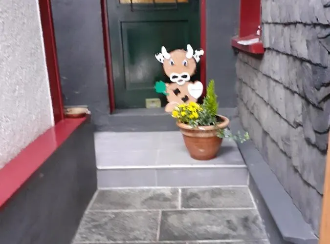 Hallerblick 公寓 *