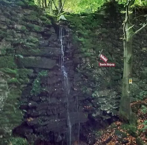 Hallerblick Appartement